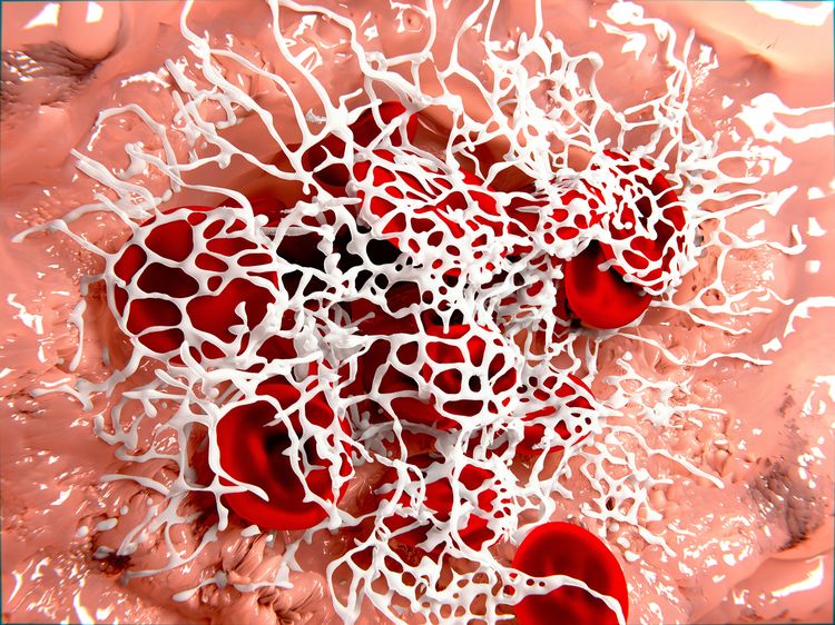 Fibrin